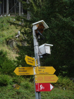 Bussalp to Bort