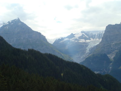 Schreckhorn