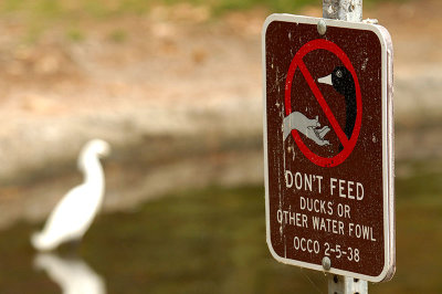 don't feed the birds