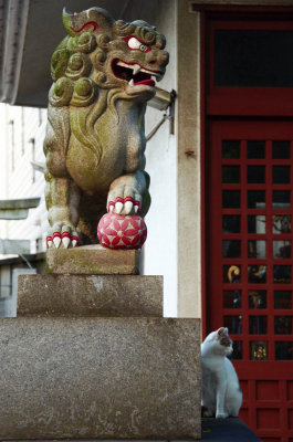 Tokyo Cats