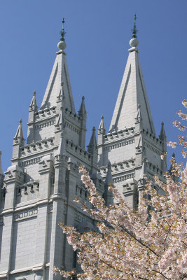 Spires and Flowers