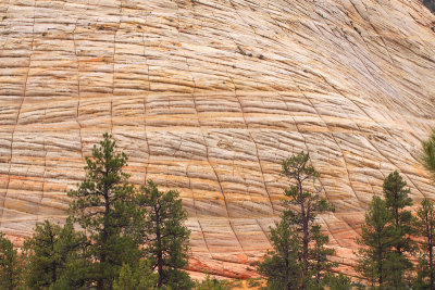 Checkerboard Mesa