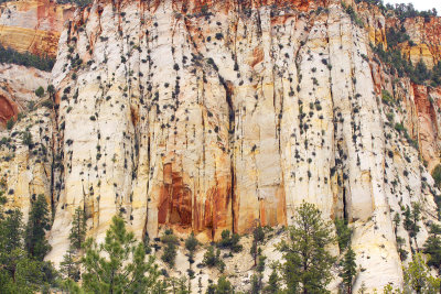 Clinging to the Cliffs