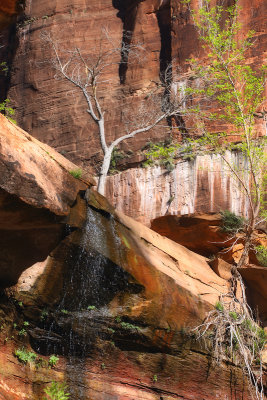 Approaching Lower Emerald Pool