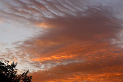 August Sunrise with Gravity Waves