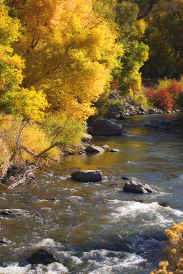 Along the Provo River