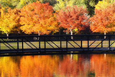 Bridge Through Fall Colors