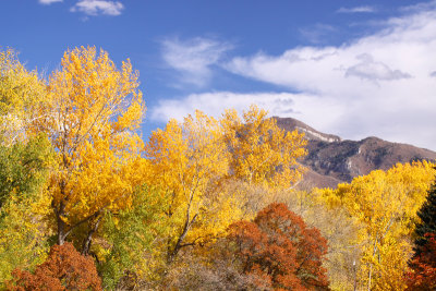 Fall Along the Wasatch Mountains