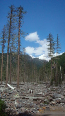 Glacial Washout