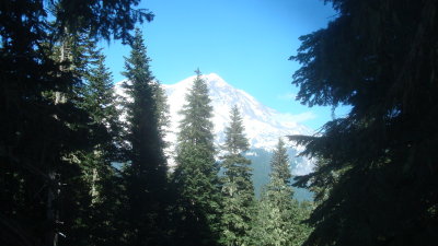 Looking up to Rainier