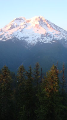 Knob view of Rainier