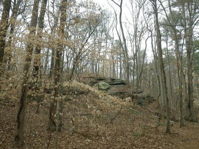 Hillside