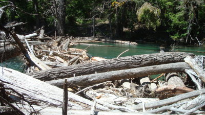 Log Jam