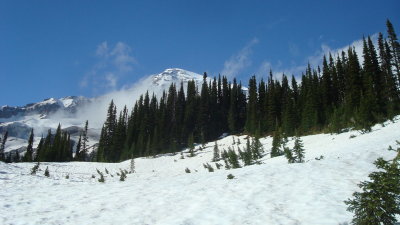 Snowcovered High Meadow