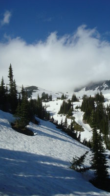 Summer Snow