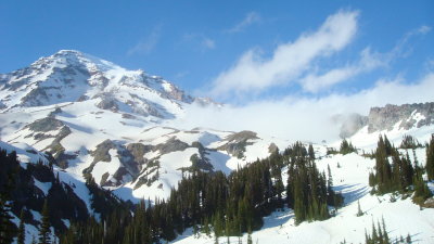 Treeline