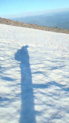 Snow Shadow