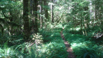 Trail to Work