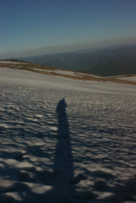 Long Shadow