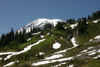 Paradise Trails
