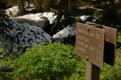 Wonderland Trail