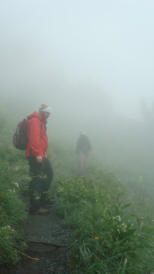 Through the Fog