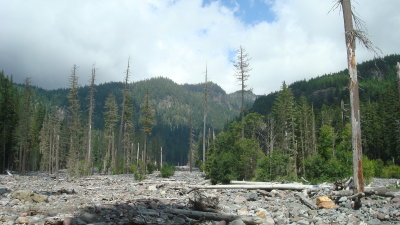 Glacier River Bed