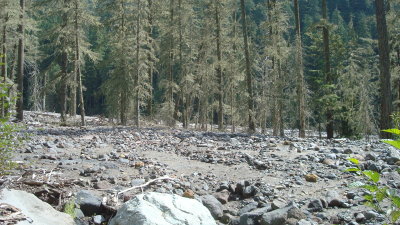 Glacial Melt Riverbed