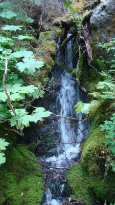 Stream 