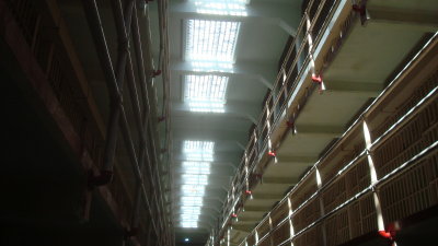 Rows of Cells