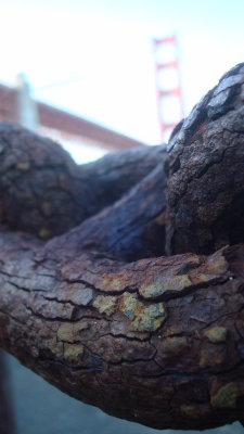 Weathered