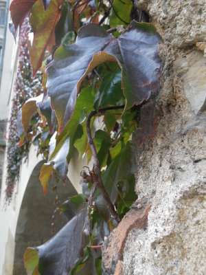 On Ancient Walls