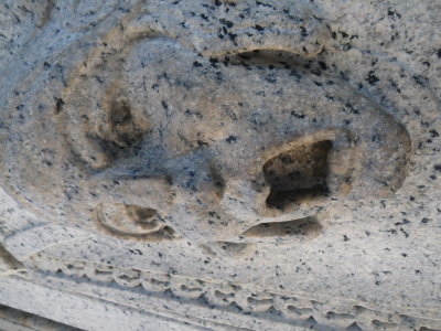 Face