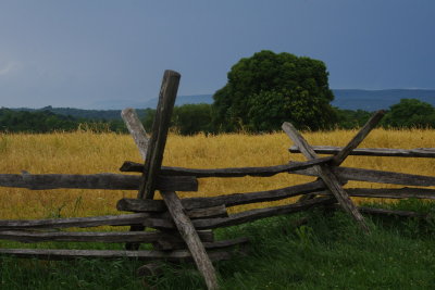 Wheat fence