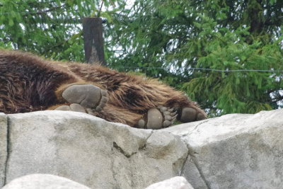 Asleep
