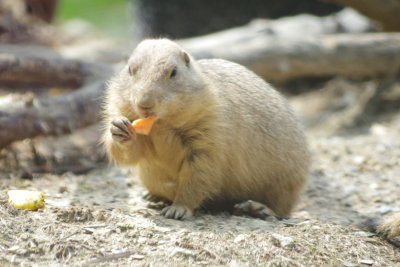 A little bite to eat