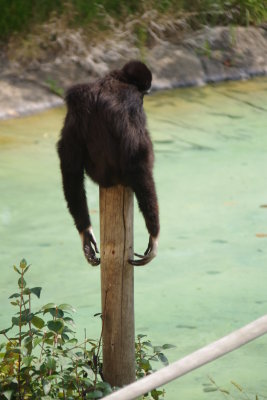 Hanging Around