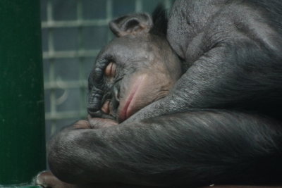 Sleepy