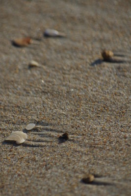 Stones from the Surf