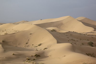 Varzaneh Desert 