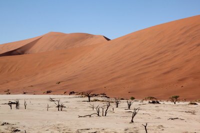 Dead Vlei