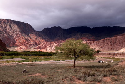 Quebrada de las Conchas