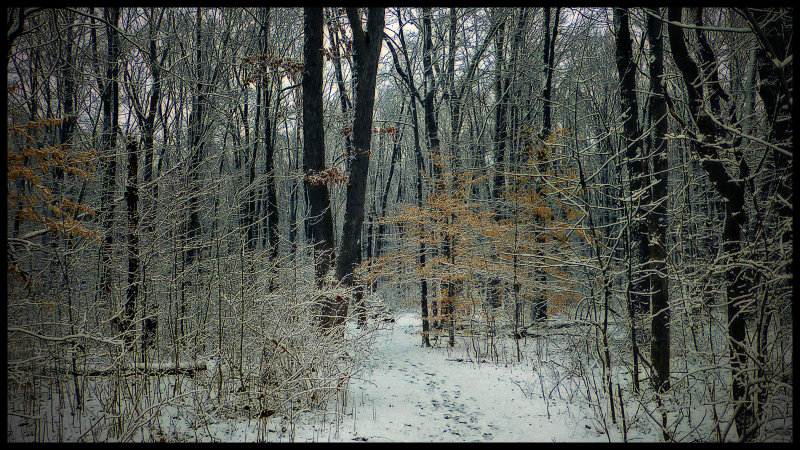 Park Feb 9 2016 low res.jpg
