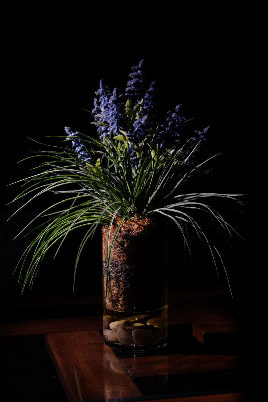 Flash with grid XE2.jpg