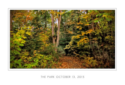 The Park October 13 2015 low res.jpg
