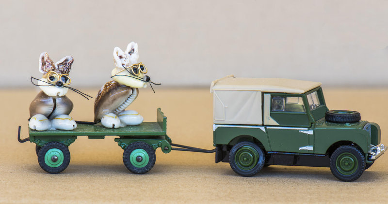 MICE HITCHING A RIDE ON A SERIES 1 LANDROVER