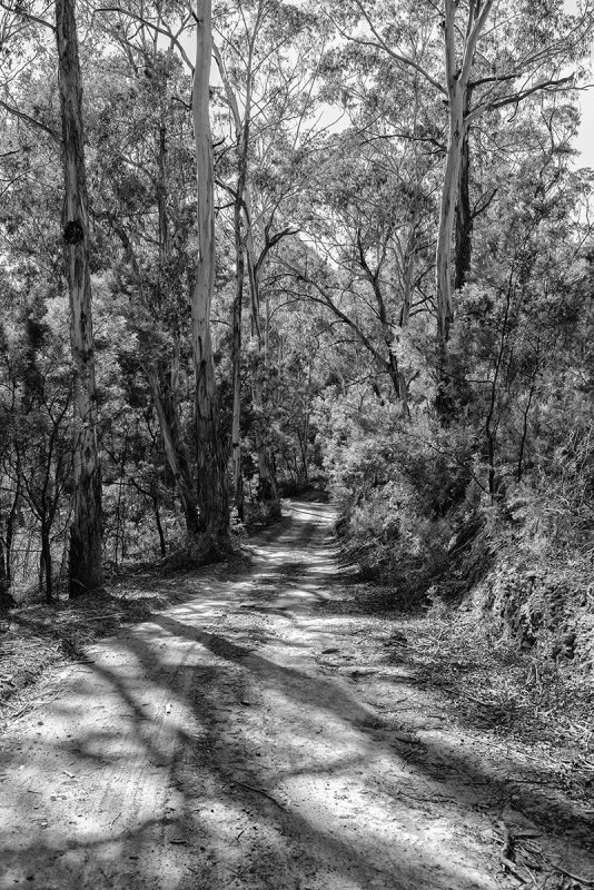JOADJA WITH THE GOULBURN CAMERA CLUB 2014