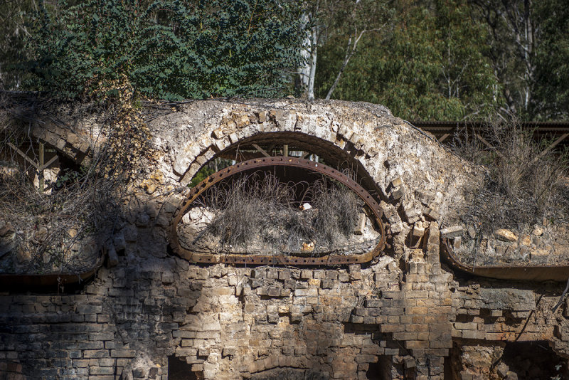 JOADJA WITH THE GOULBURN CAMERA CLUB 2014