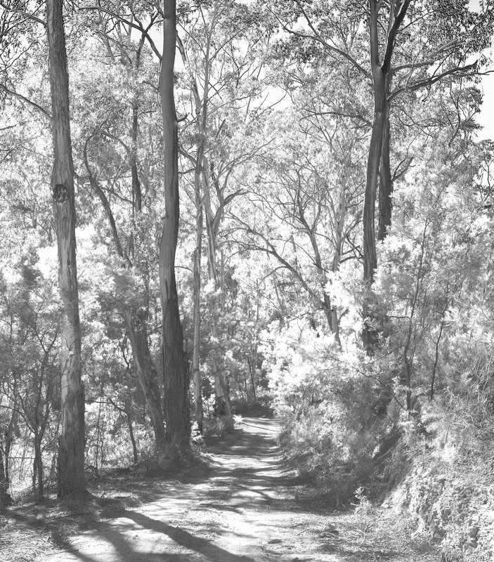 JOADJA IN 2014 WITH THE GOULBURN CAMERA CLUB