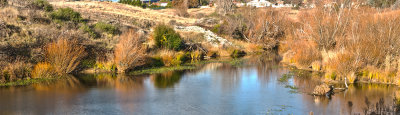 AUBURN COLOURS ON THE WOLLONDILLY RIVER